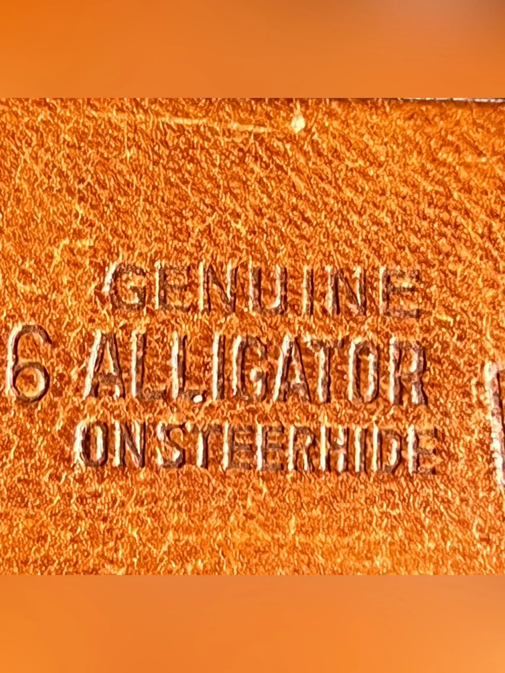 VTG Hirdes Of New Orleans American Alligator On Steer Hide Leather Brown Belt 32